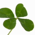 role of chance eSports Hearthstone