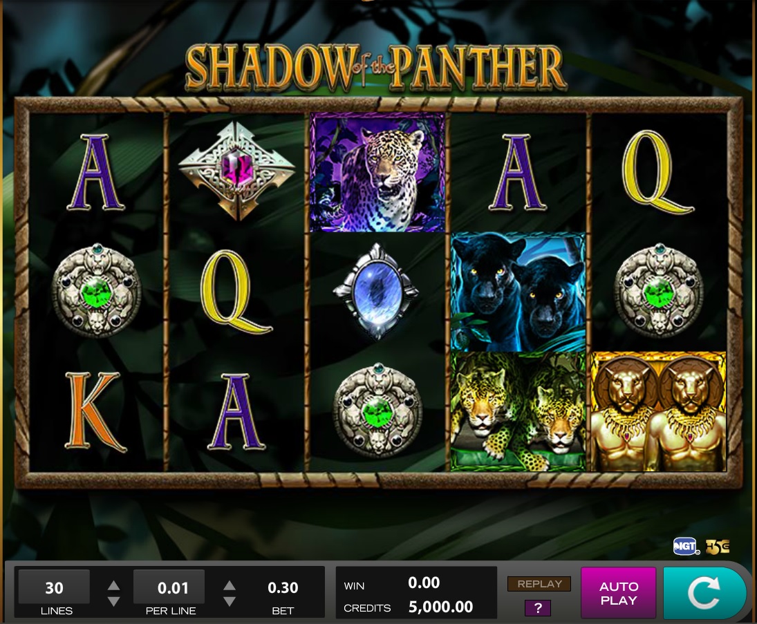 The Shadow Of The Panther The Shadow Of The Panther