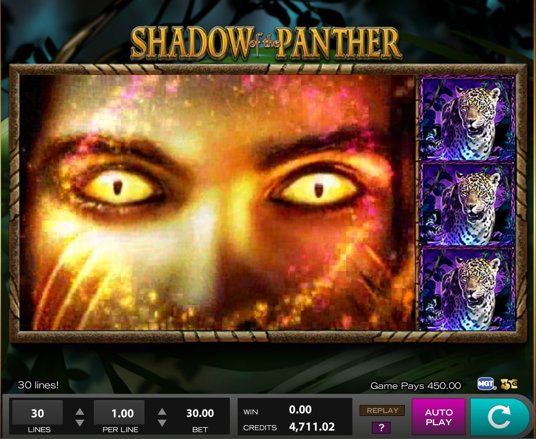 Panther Panther