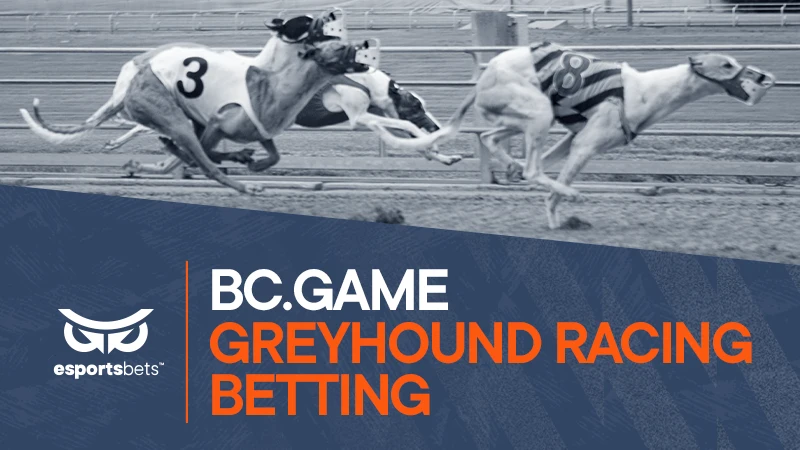 bc.game greyhound racing betting