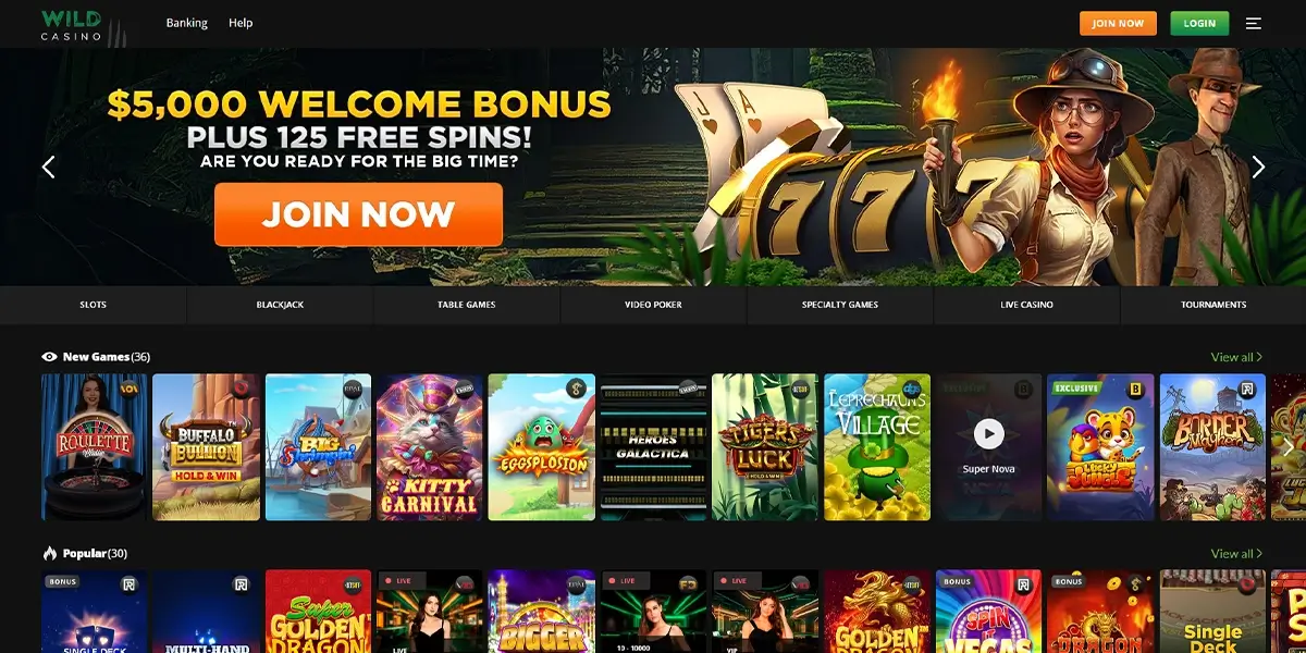 sites like wild casino