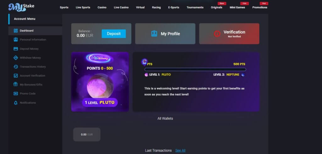 Screenshot showing the MyStake account summary