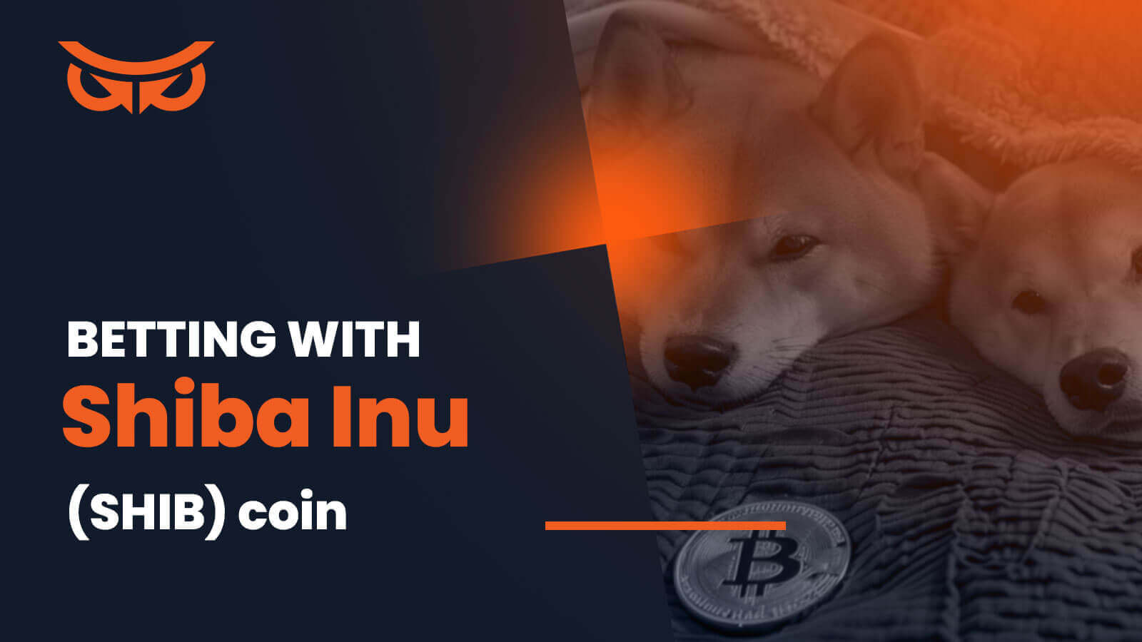 Shiba Inu betting