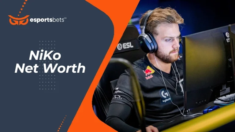NiKo Net Worth