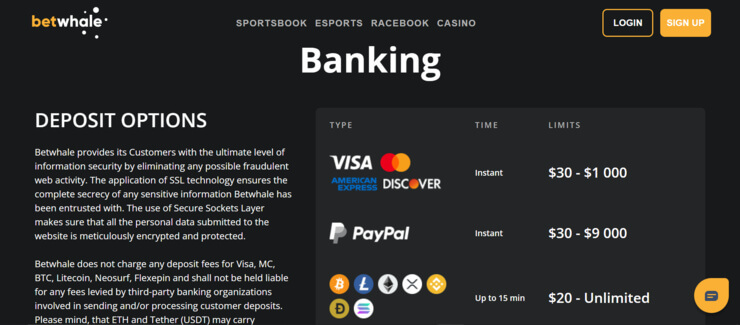 BetWhale deposit methods