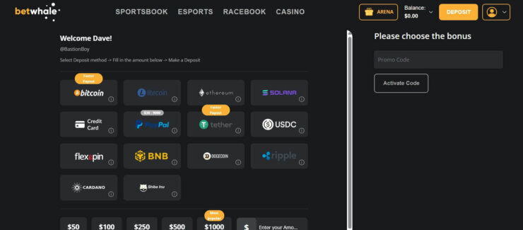 BetWhale payment methods and enter promo code form