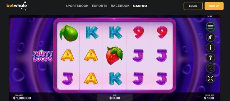 BetWhale online slots section