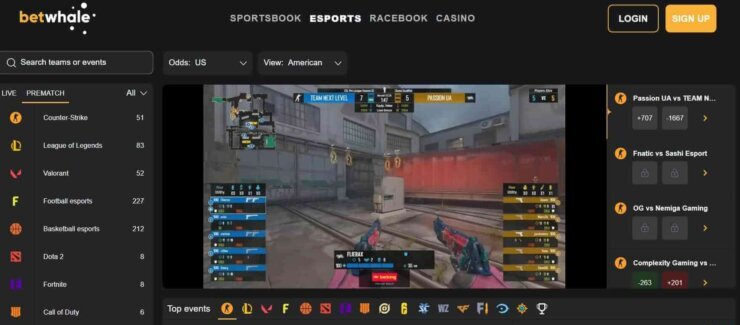 BetWhale - oerall best gambling site in the US