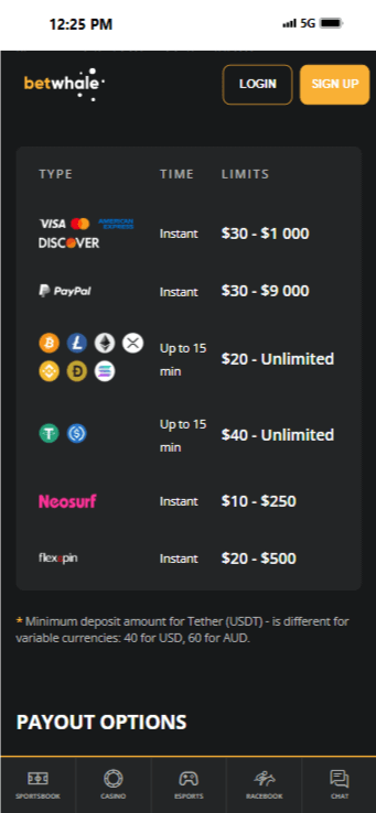 BetWhale Payment Methods