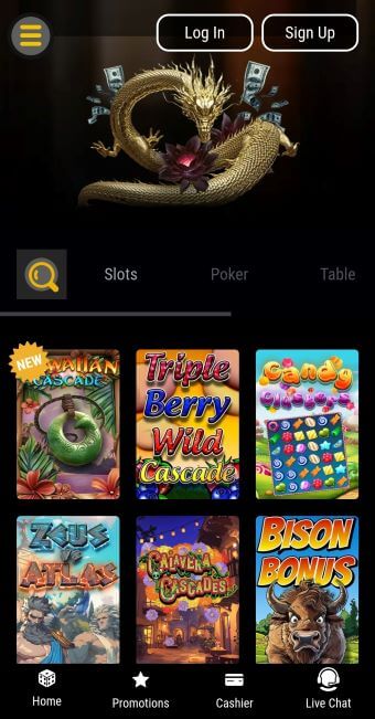Black Lotus Texas Online Casinos