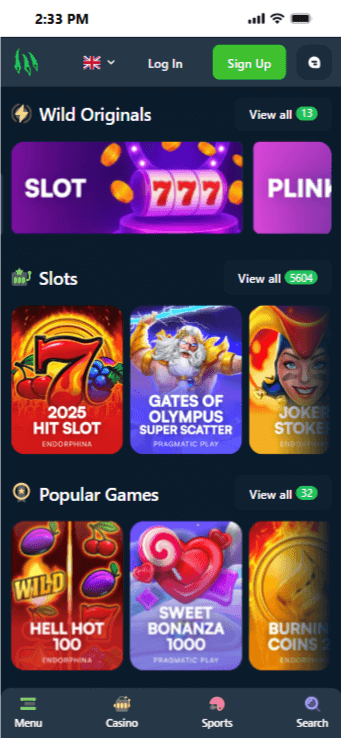 Wild.io's no KYC popular casino games