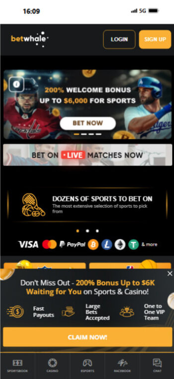 BetWhale - choose an esports betting site