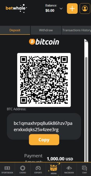 Deposit money at BetWhale casino