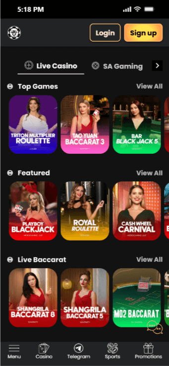 WSM Casino Crypto Casino Gaming
