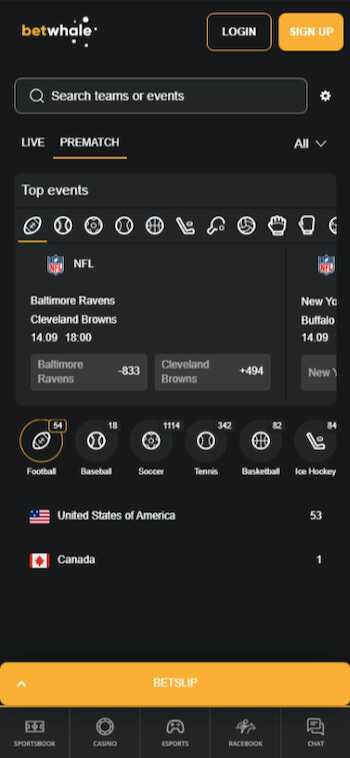 A screenshot of the main NFL section of BetWhale, our top rated NFL betting site