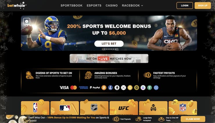 A look at BetWhale landing page on a desktop device.
